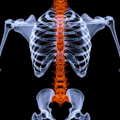 Understanding Chiropractic Therapy