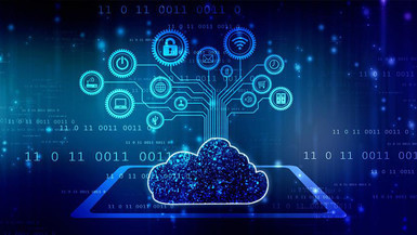 Advanced Diploma in Business Information Technology