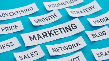 Master of Science in Marketing