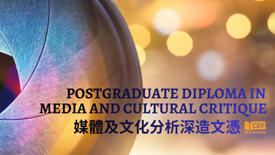 Postgraduate Diploma in Media and Cultural Critique