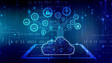 Advanced Diploma in Business Information Technology