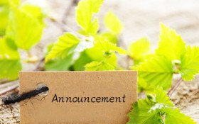 Enrolment service during Christmas and New Year Holidays