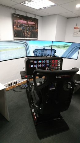 Flight simulator