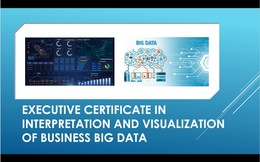 Executive Certificate in Interpretation and Visualization of Business Big Data