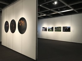 Graduation Exhibition