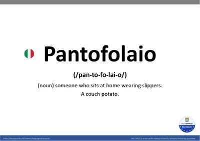 【简易意大利语 - Pantofolaio 】