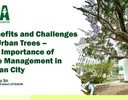 Benefits and Challenges of Urban Trees – The Importance of Tree Management in Urban City