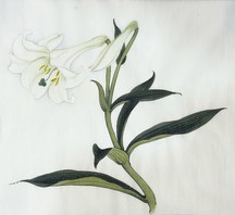 蔡德怡導師作品