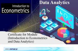 Certificate for Module (Introduction to Econometrics and Data Analytics)