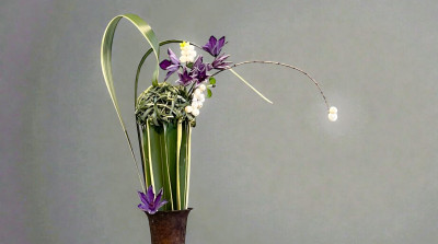 為何修讀歐洲植物與花藝設計？