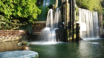 葉志剛導師作品九